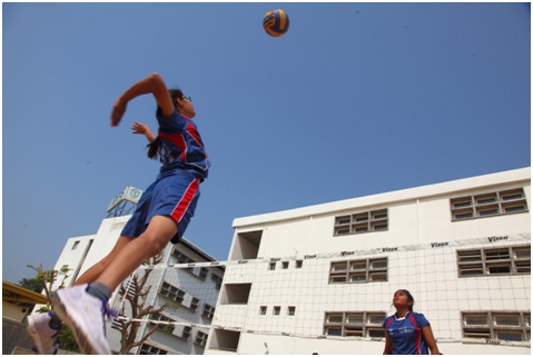 Volleyball Court